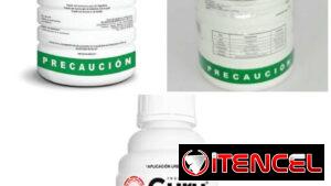 Pest Control. Fumigación Integral