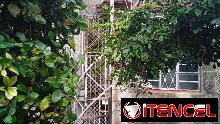 Renta Lineal Playa con Parqueo y placa libre 250usd 53582376 — foto 1