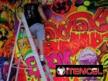 Murales Decorativos Pintados