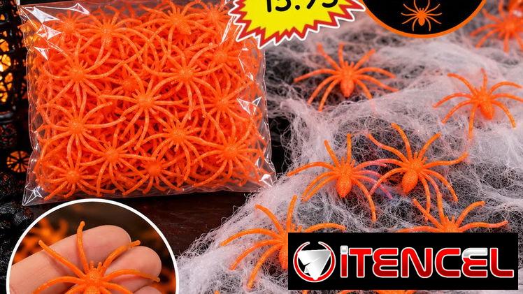 Toto en rebaja halloween — foto 3