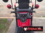 Triciclo de paseo Rali impecable
