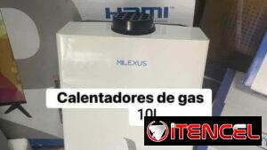 Calentador de gas