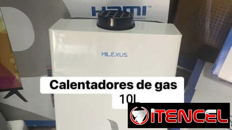 Calentador de gas
