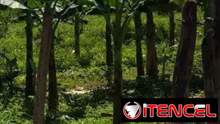 Compro terreno con mínimo 1000 metros cuadrados — foto 2