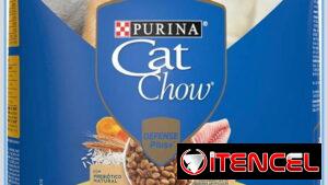 Comida para gatos