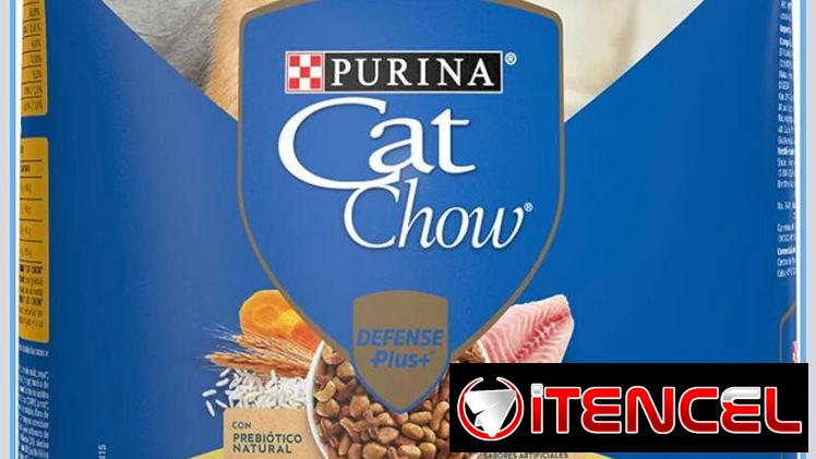 Comida para gatos