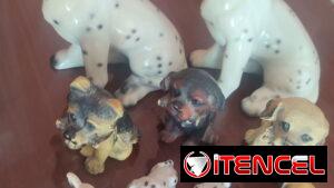 Vendo Colección de perritos.