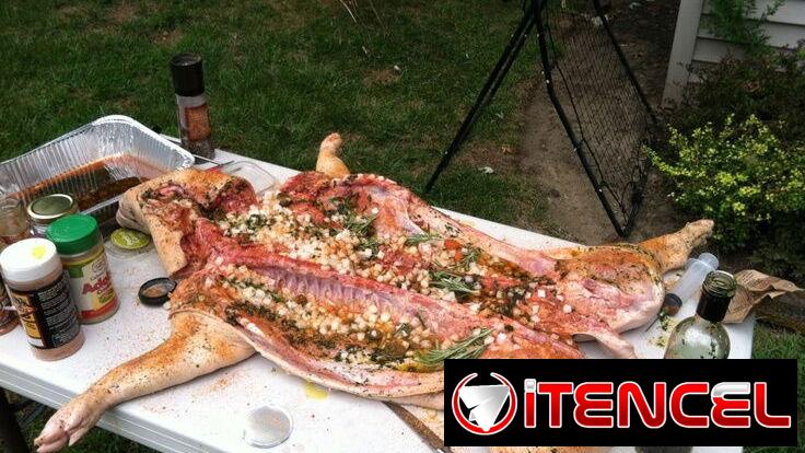 Cerdo, lechón, cochino ASADO — foto 2