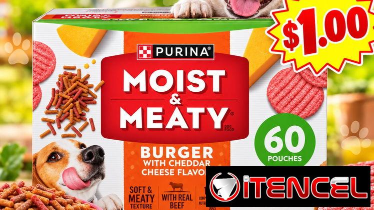 Burguer con Queso para Perro