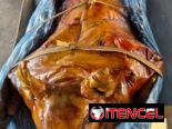 Comidas criollas con domicilio incluido