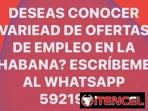 971b1eaaf93d5844a51c10b8730094d12d233bb25d41631a097488c10d42f38e