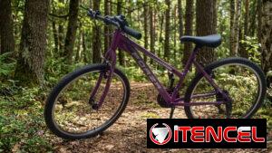 Bicicleta montañesa 7 velocidades