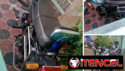 Negoceo 2 carpatis caminando al 100 y planta 9000w por 2 motos de cc superior — foto 1