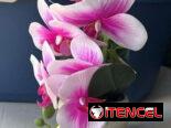 Macetas con flores artificiales