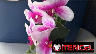 Macetas con flores artificiales