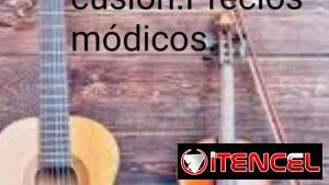 Violines, Cajón, Tambor, Güiro.No deje de contactarnos.