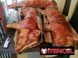 🐷🔥 ¡El Auténtico Cerdo Asado Criollo con guardiciones para tu Fiesta! Sin Cocinar ni Preocuparte (La Habana)
