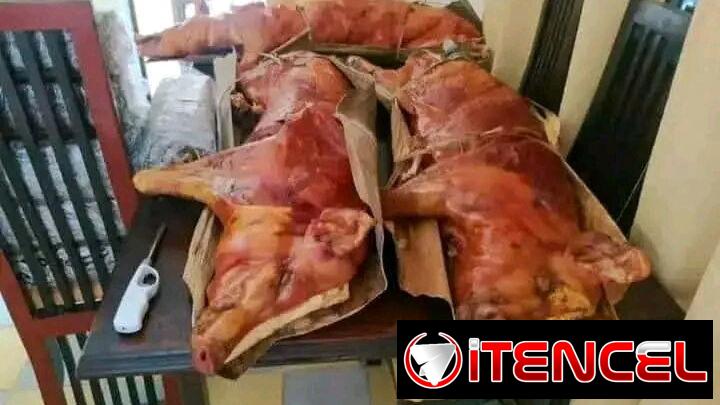 🐷🔥 ¡El Auténtico Cerdo Asado Criollo con guardiciones para tu Fiesta! Sin Cocinar ni Preocuparte (La Habana)