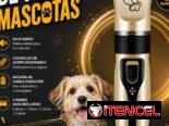 🐶🐱✨ ¡PELUQUERÍA DE MASCOTAS EN CASA! ✨🐱🐶 ¿Quieres que tu peludito luzca limpio, bonito y bien arregladito? 🥰✂️🐾 Te