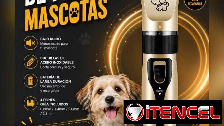 🐶🐱✨ ¡PELUQUERÍA DE MASCOTAS EN CASA! ✨🐱🐶 ¿Quieres que tu peludito luzca limpio, bonito y bien arregladito? 🥰✂️🐾 Te