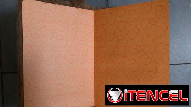 Cuaderno de capibara o de colores pop de niña 90 páginas, 1700 CUP,Vedado