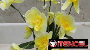 🧧Maceta con orquídeas💫 📏30cm /12 usd🧧