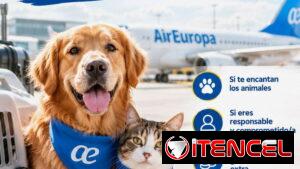 ✈️🐾 ¿Viajas con Air Europa? ¡Gana dinero extra llevando mascotas a España!