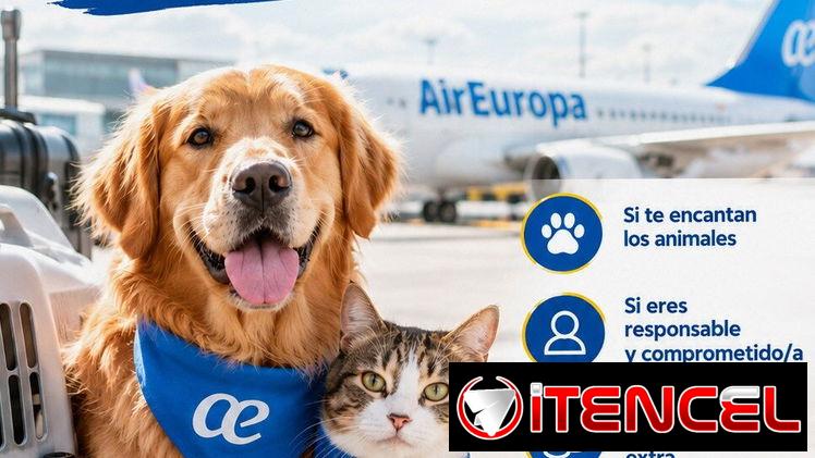 ✈️🐾 ¿Viajas con Air Europa? ¡Gana dinero extra llevando mascotas a España!