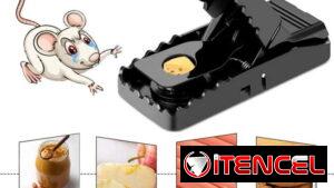 Trampas resistentes para roedores
