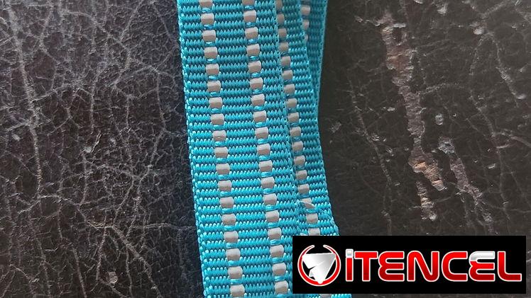 Collar de perro