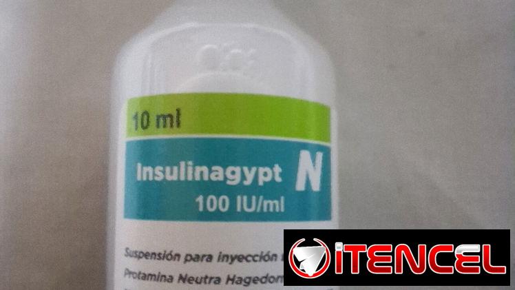 Insulina