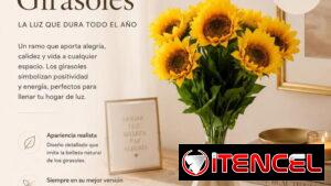 Girasoles