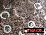 ✨Cod.Z Disponible oferta de Pasadía. Piscina en Boyeros | Reparto Abel Santamaría | 🌴