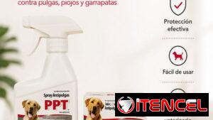 JABÓN 100 GR + SPRAY 250 ML PPT ANTIPULGAS