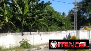 🔴Terreno & Árboles Frutales 0.10hta/1010m²🍌🥥🥑
