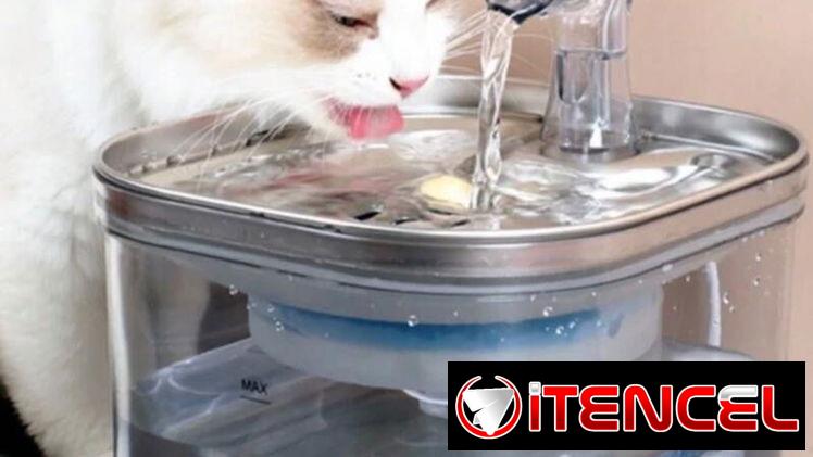 Bebedero automático para mascotas — foto 3