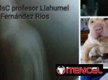 Veterinario