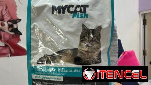 Comida para gatos 4kg