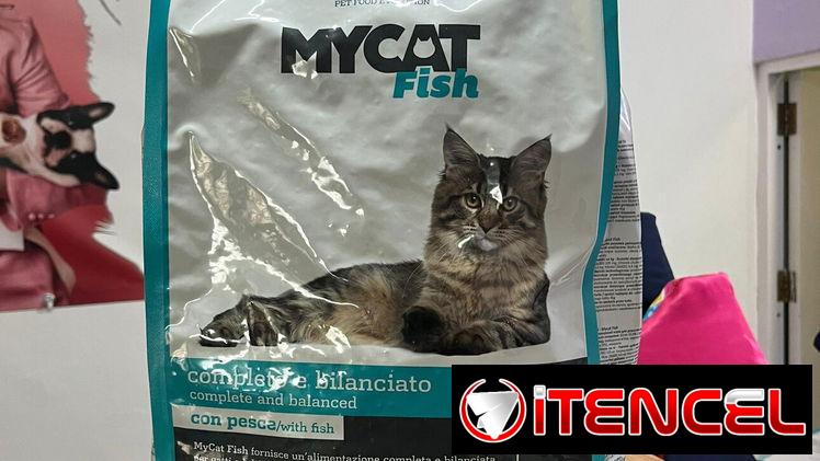 Comida para gatos 4kg