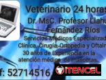 Veterinario