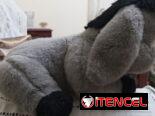 Se vende peluche