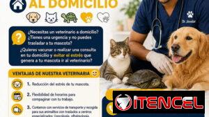Veterinario a domicilio en La Habana 🐶🐱🐢 (Kinetica)