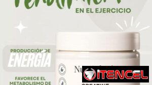 CREATINA MONOHIDRATADA NUTRIPLUS 150g(30serv.)
