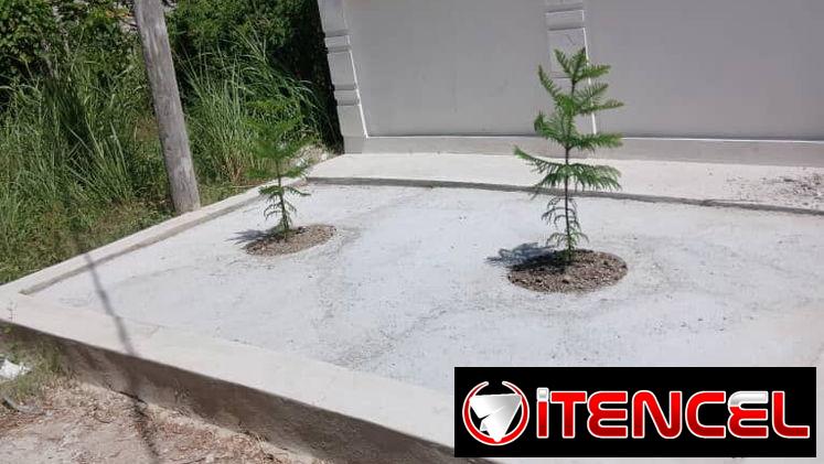 🌿 ¿TU PATIO ESTÁ TRISTE Y NO TIENES TIEMPO DE ARREGLARLO? 🌿 — foto 2