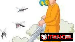 Chichas,mosquitos,cucarachas,pulgas,hormigas,arañas.Fumigador.