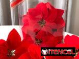 Decoraciones navideñas. El precio varia según el diseño. Mensajería disponible