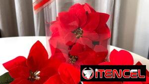 Decoraciones navideñas. El precio varia según el diseño. Mensajería disponible