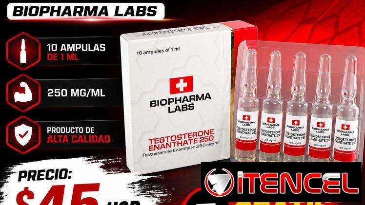 Testosterona enanthate 10 ampulas 45 usd