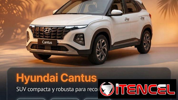 https://rentacaresa.sbs — foto 4