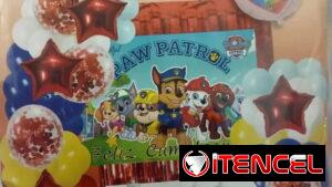 **Set Completo de Paw Patrol 100 PIEZAS**